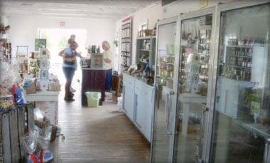 Interior photo of the front of the store. 
 
 Photo from the Door County Wildwood Market website