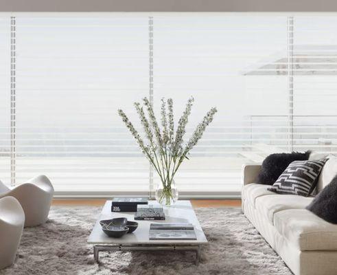 Hunter Douglas window treatments