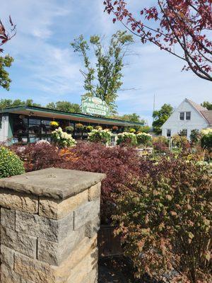 Pinecrest Nursery & Garden Cntr