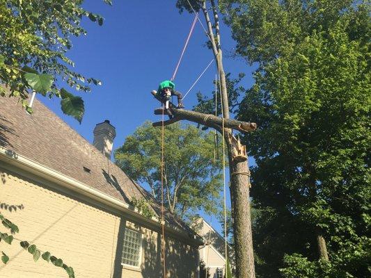 Roping down final pieces of a large tree that fell on a home during a storm