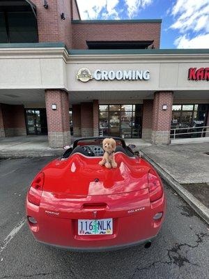 Rustic Mutt Dog Grooming