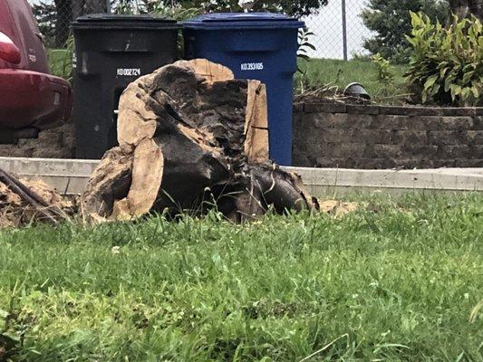 These guys just lifted up this huge tree root and hauled it away.