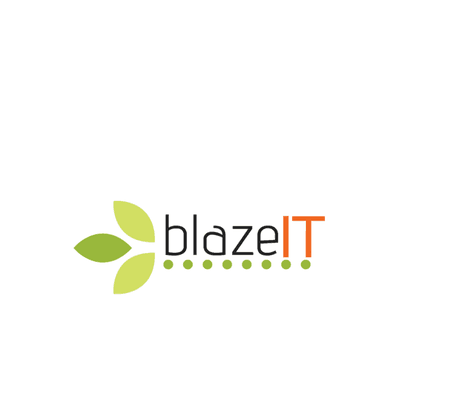 www.BlazeITweb.com