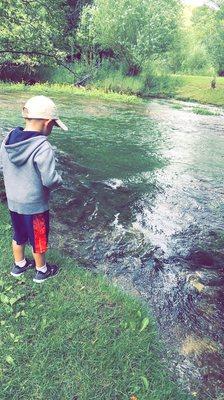 Spring Creek Trout Hatchery