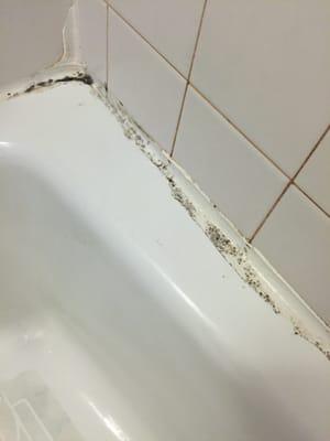 moldy shower