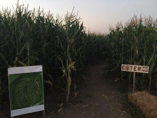 Entrance to the maze