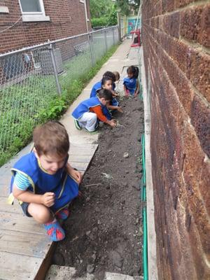 Gardening helps children work cooperatively and learn science and nutrition