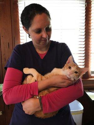 We are proud to call ourselves cat ladies!  We have a cat-only exam room to help reduce anxiety for our feline patients.