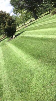 Lawn mowing