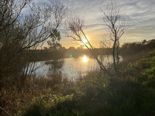 Duck pond with a walking trail for residents