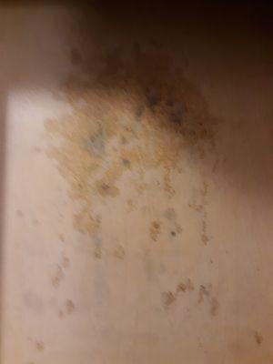 BLACK MOLD inside unit