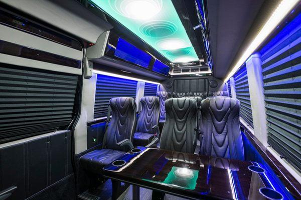 12 Passenger Sprinter Interior