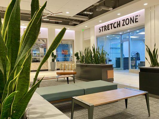 Stretch Zone