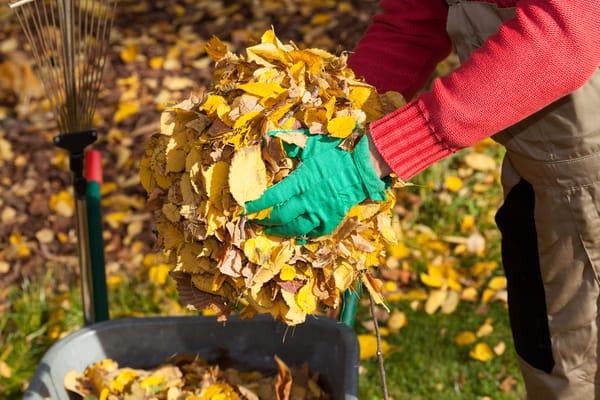 Marek's Landcaping & Lawn Service