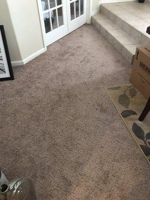 This is my Carpet in my entry.