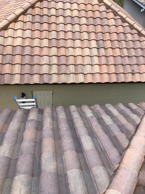 Tile Roof Cleaning