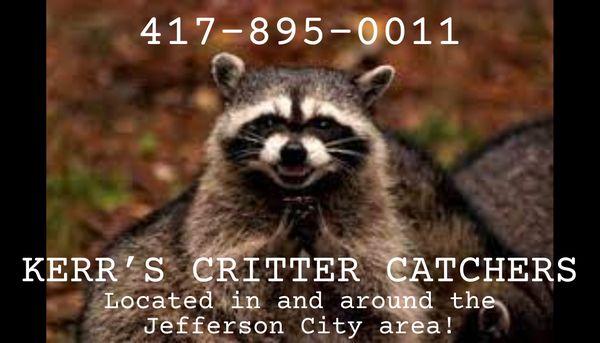 Kerr's Critter Catchers