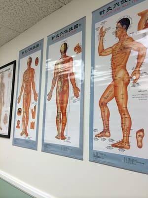 Interesting Acupuncture charts! :0