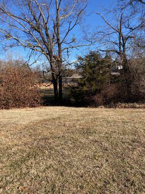 Creek to the right of my brother's plot