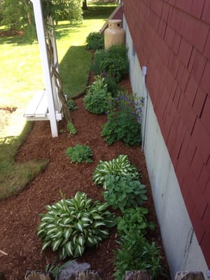 Mulching and Planting