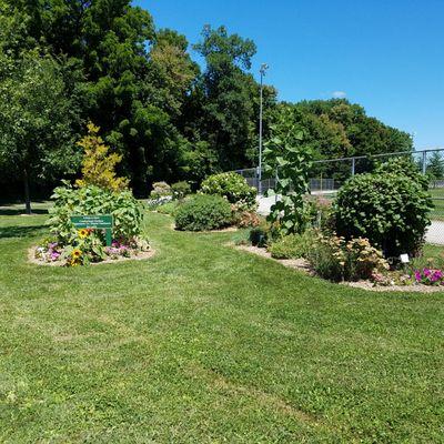 landscaped area community gardens