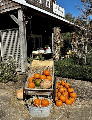 Pick your favorite pumpkin