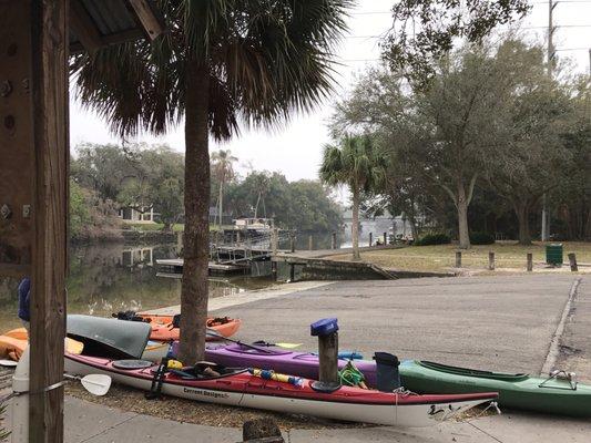 Some kayaks of Sierra Club members before the outing (Lowry Park Zoo)