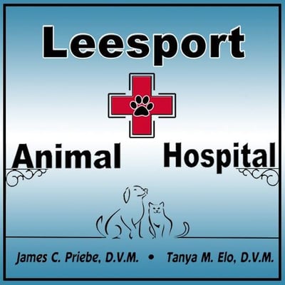 Providing Excellence In Veterinary Care