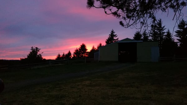 Sky Ranch Stables