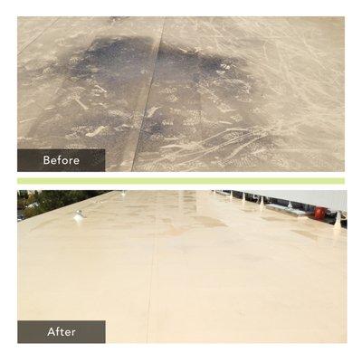 Roof Cleaning