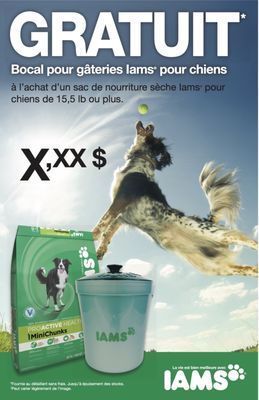 Forte's Global Work as Part of Iams Multi-Billion Dollar Pet Food Marketing