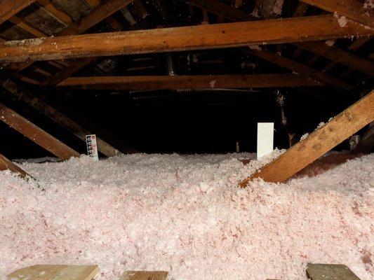 Attic after day two! Rat proofed from all angles and insulated.