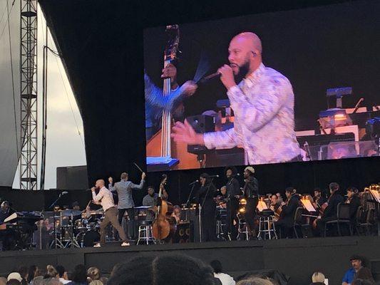 Common!! The symphony has never sounded so cool!