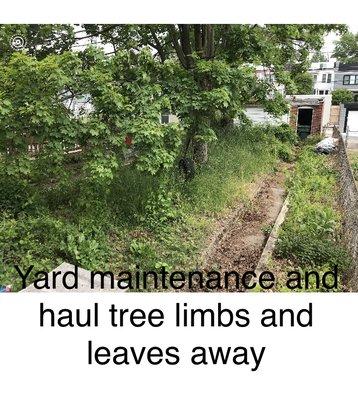 Grass cut leaves racked tree trim and haul away lawn and property maintenance