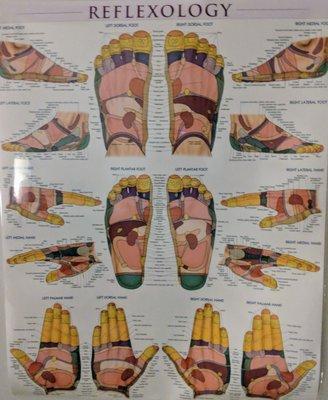 Reflexology poster on the wall