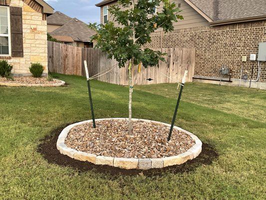 New Tree and lined with cut stone