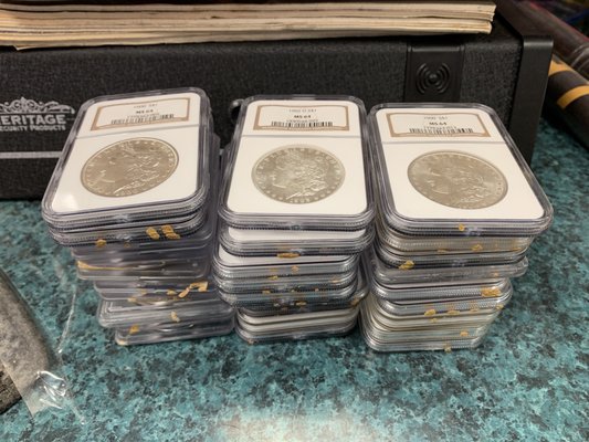 Silver Morgan graded coins.