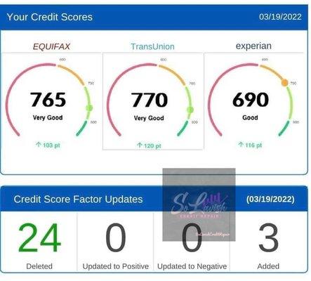 This client had 24 negative items removed from their credit report