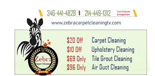 Zebra Carpet Cleaning