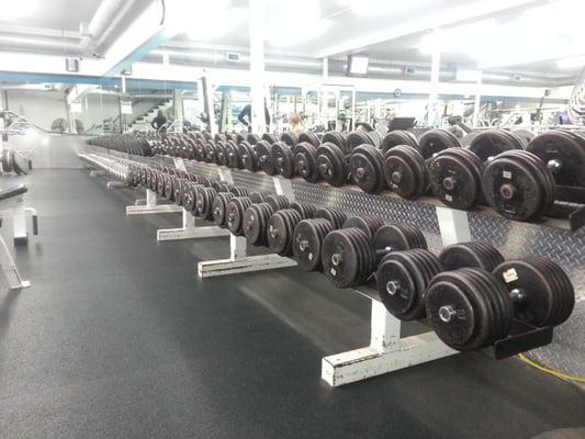 Largest selection on dumbbells in Traverse city