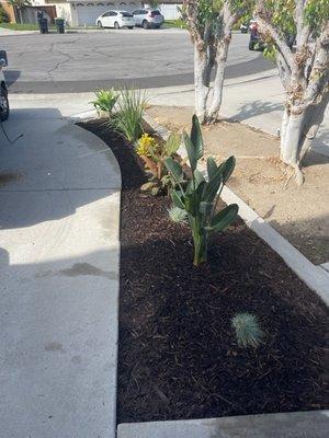 Simple parkway planter