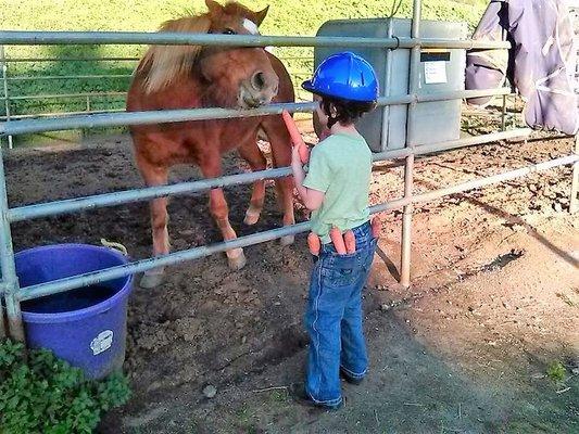 JT has plenty of carrots for his friend Scarlet.