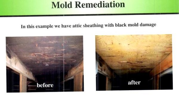 Mold Before Remediation on Left
 After Remediation on Right