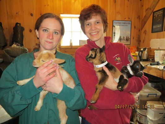 Dr. Rachel Francis and Technician Beth is out on a farm call.