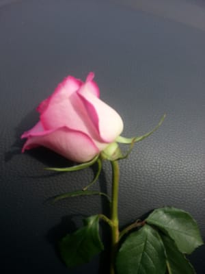 Beautiful flowers at cemetary handed to us in a basket with so much care and concern for us.