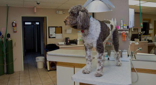 Kinnic Veterinary Service in River Falls, WI - http://www.kinnicveterinaryservice.com/