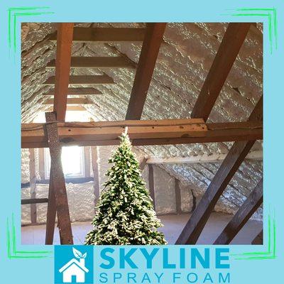 Reclaim your storage space! Skyline's spray foam insulation will keep your attic cooler than a polar bear's pinky.