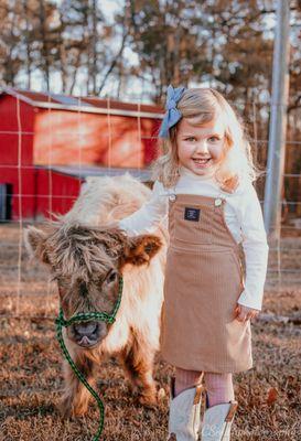 Come meet our furry Mini Highland Cow, Moonshine!