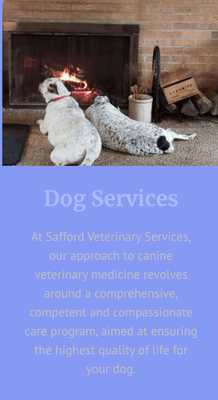 Dog Veterinarian