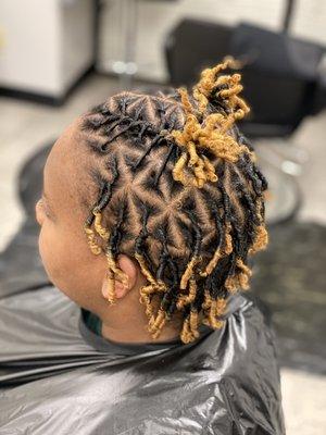 Starter Locs